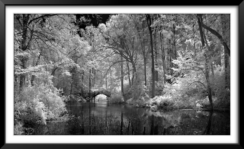 Crim Dell William & Mary in IR