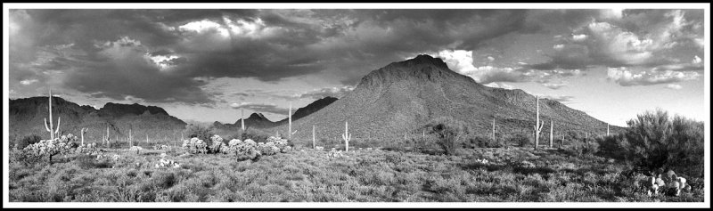 Infrared Desert