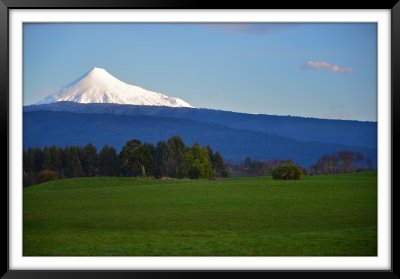 Campos y Volcan Osorno I