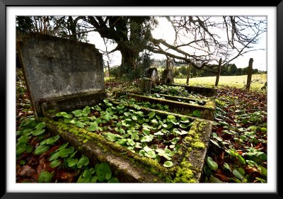 Cementerio Rupanco II