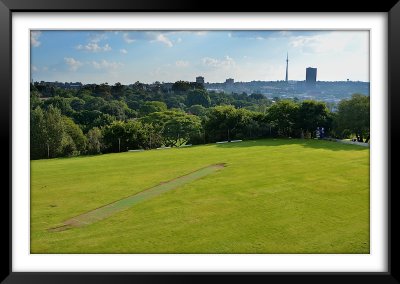 Ridge Cricket