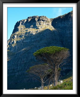 Table Mountain