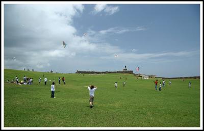 Field of Kites