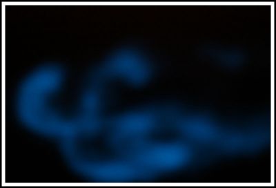Bioluminescent Swimmer