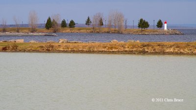 Contaminated Pond