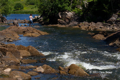 Out Fishing