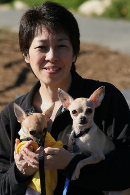 Sheralyn & Ashley's Chihuahuas