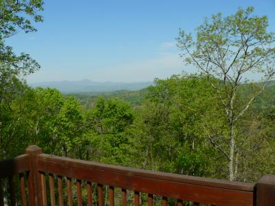 upper deck view