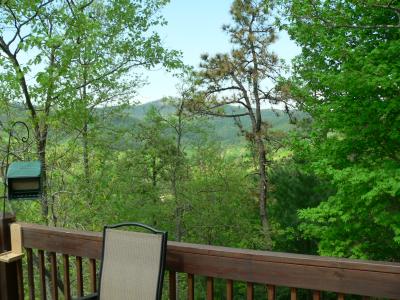 Deck off dining room