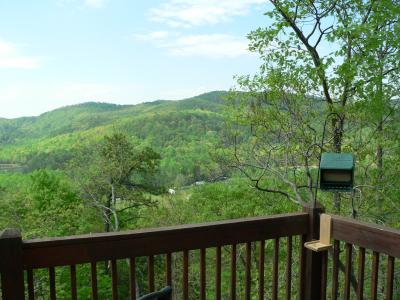 Deck off dining room