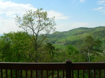 Deck off dining room