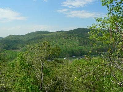View from deck