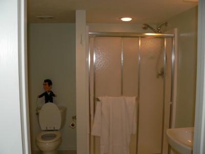 Downstairs bath