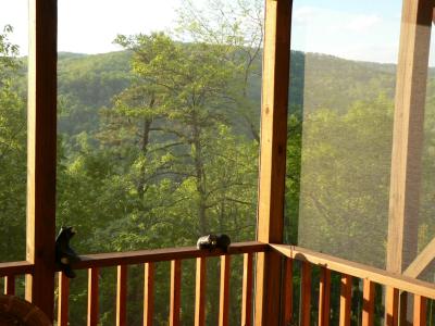Lower deck