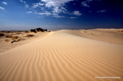 Monahans Sand Dunes