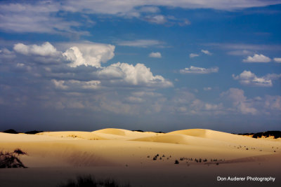 Monahans Sand Dunes