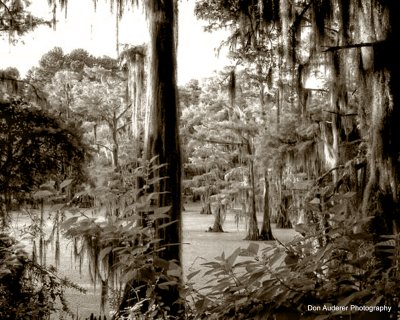 Caddo Lake