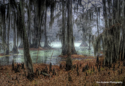 Caddo Lake