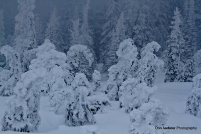 Hoarfrost on Two Top Mountain