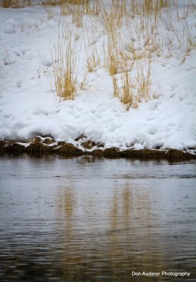 Grass and Snow