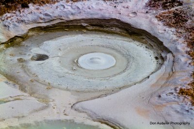 Mud Pot 
