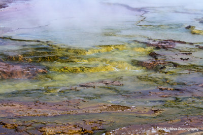 Thermal Landscape