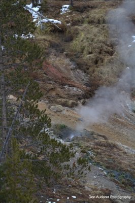 Fumarole near Gibbon River