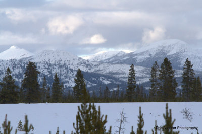 Yellowstone National Park