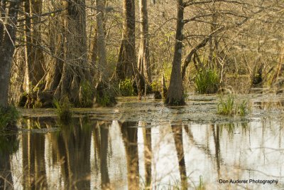 Martin Lake, La.