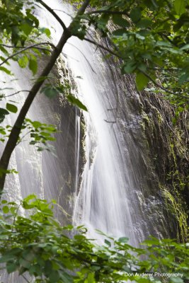 Gorman Falls