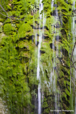 Gorman Falls