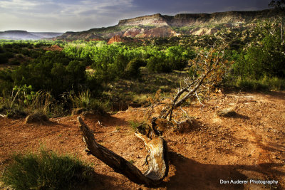 Palo Duro Canyon