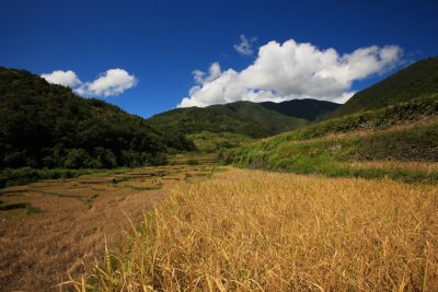 Banaue_20116797.JPG