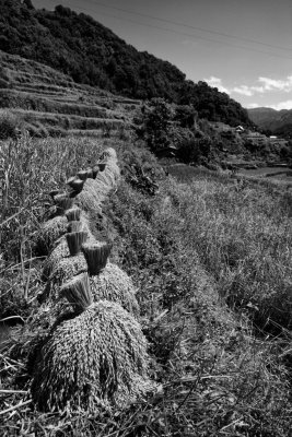 Banaue_20116798.JPG