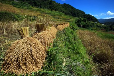 Banaue_20116799.JPG