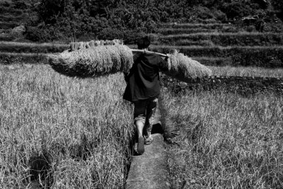 Banaue_20116801.JPG