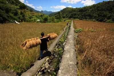 Banaue_20116803.JPG