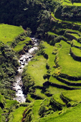 Banaue_20116809.JPG