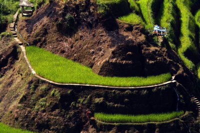 Banaue_20116812.JPG
