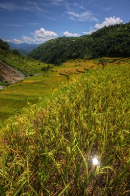 BanauePB_20116939.JPG