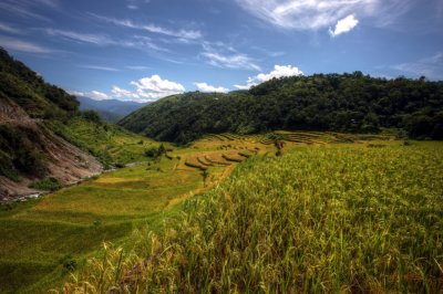BanauePB_20116946.JPG