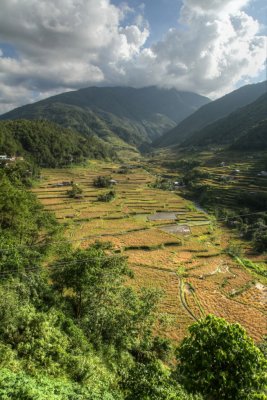 BanauePB_20116950.JPG