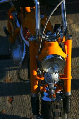 ZF8V0169.jpg