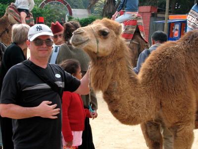 Me and Camel