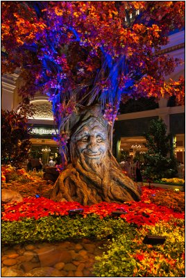 A View of the Bellagio's Autumn Display at Night