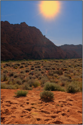 Hot Sun on the Desert Sands