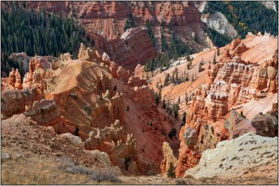 Looking Down Into the Canyon