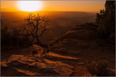 Sunrise in Canyonlands National Park