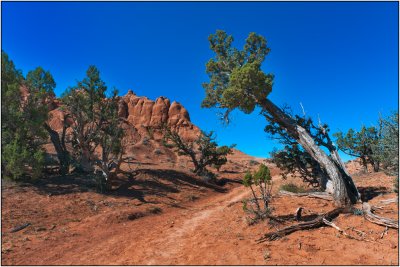 Shakespeare Arch Trail