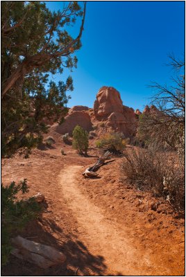 Shakespeare Arch Trail